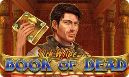 Book of Dead Spielansicht